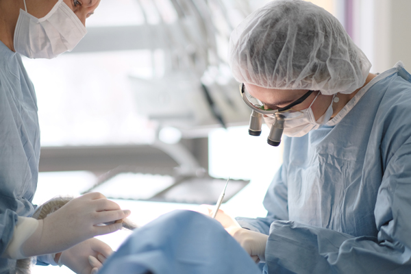 Oral Surgeon Vs  General Dentist: FAQs
